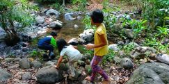 Free Forest School - Children crossing a rocky stream