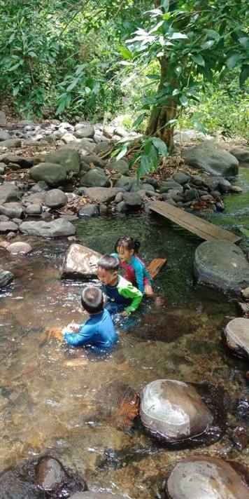 Free Forest School - Kids soaking up in the cold stream, making a boat out of a piece of wood
