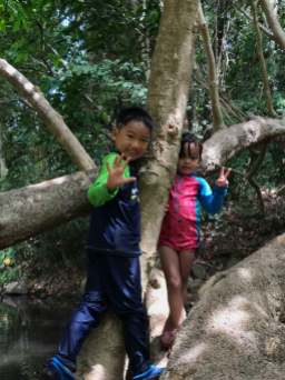Free Forest School - Climbing Trees